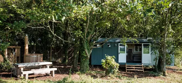 WiLD CARROT – Luxury Camping