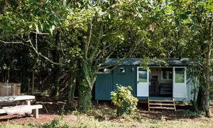 Wild Carrot Hut